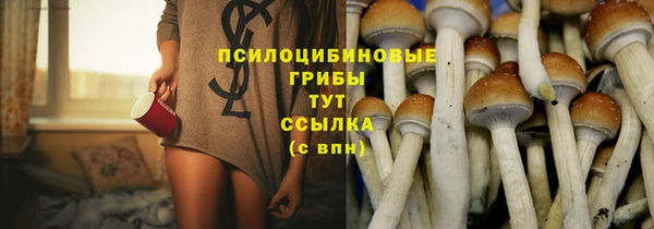 спиды Белоозёрский