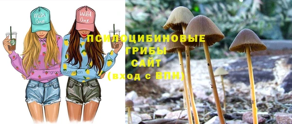 винт Белокуриха