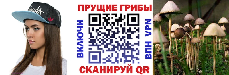 Псилоцибиновые грибы MAGIC MUSHROOMS  купить наркотик  Высоковск 
